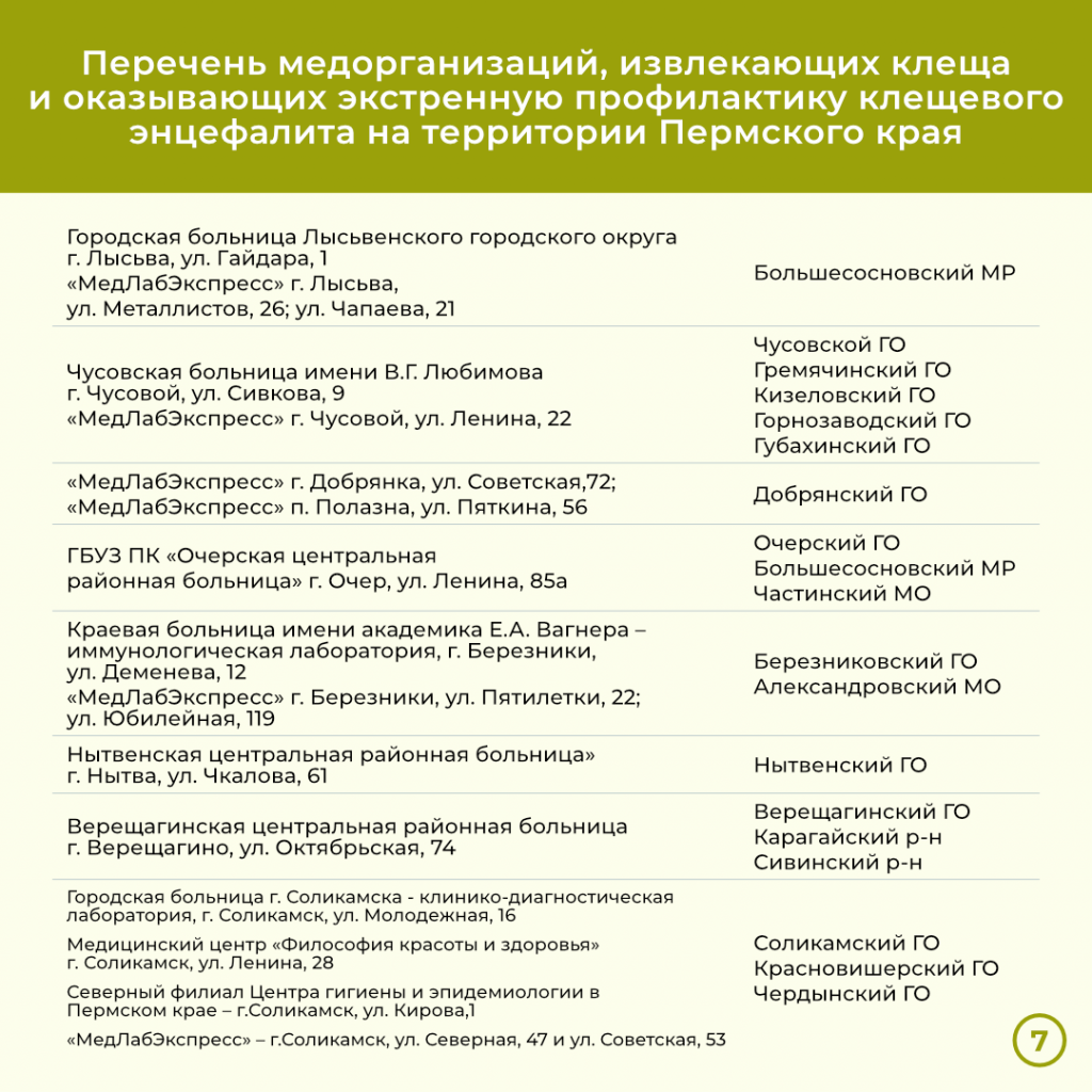 клещ 1.png